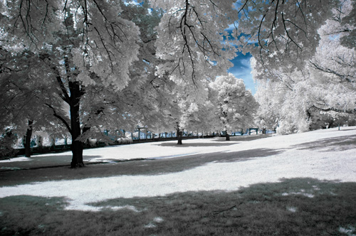 image of snow covered landscape
