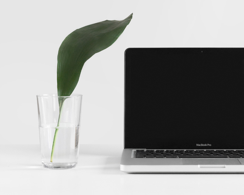 image of laptop for skills section