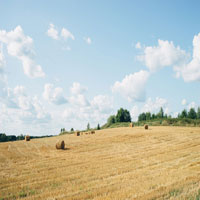 Image of field with hay bales.