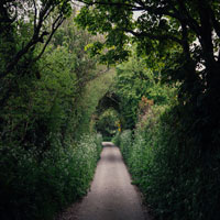 Image of a countryside lane.